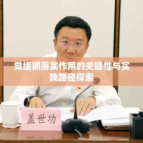 党组抓落实作用的关键性与实践路径探索