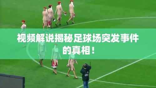 视频解说揭秘足球场突发事件的真相!