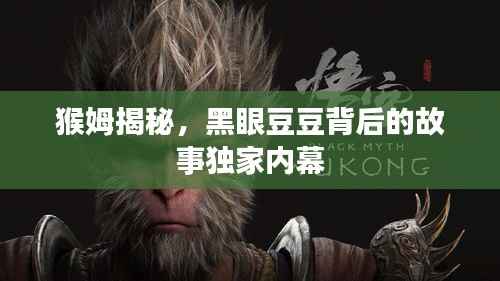 猴姆揭秘，黑眼豆豆背后的故事独家内幕