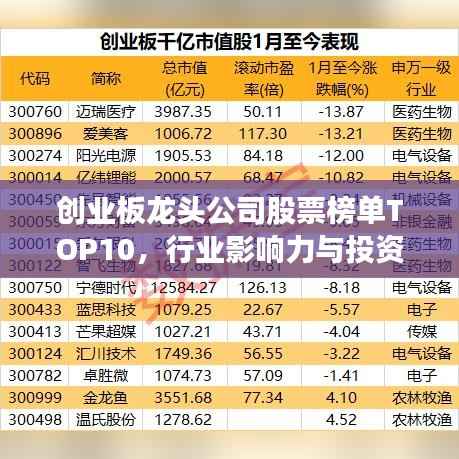创业板龙头公司股票榜单TOP10，行业影响力与投资机会解析