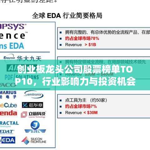 创业板龙头公司股票榜单TOP10,行业影响力与投资机会解析