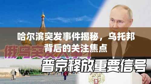 哈尔滨突发事件揭秘，乌托邦背后的关注焦点