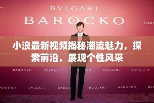 小浪最新视频揭秘潮流魅力，探索前沿，展现个性风采