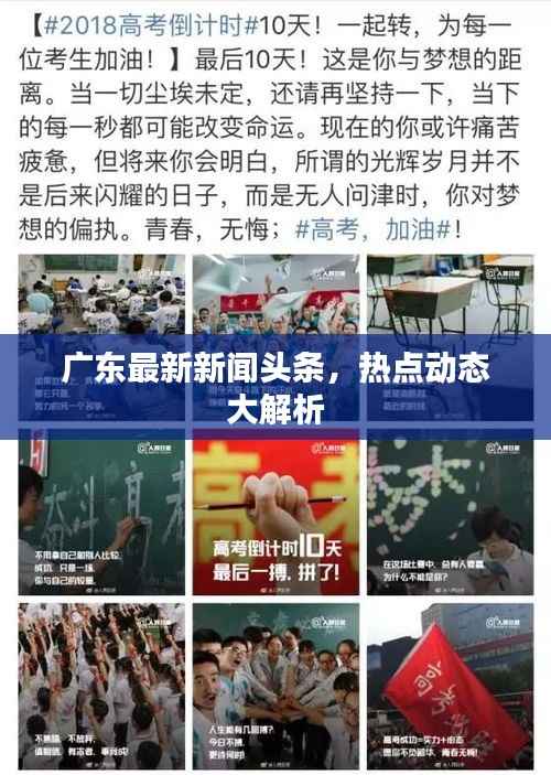 广东最新新闻头条，热点动态大解析