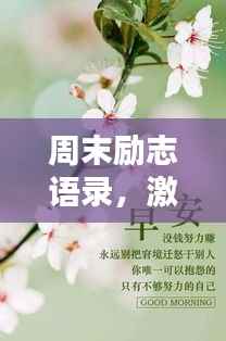 周末励志语录,激发前行力量的唯美句子