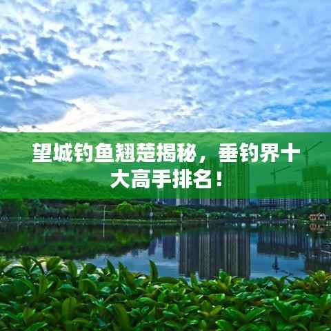 望城钓鱼翘楚揭秘，垂钓界十大高手排名！