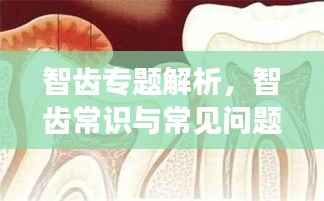 智齿专题解析,智齿常识与常见问题全解析