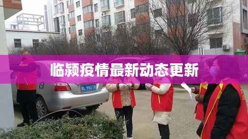 临颍疫情最新动态更新