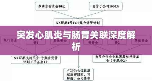 突发心肌炎与肠胃关联深度解析