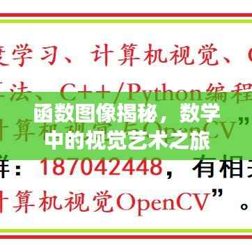 函数图像揭秘,数学中的视觉艺术之旅