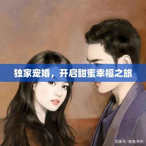 独家宠婚,开启甜蜜幸福之旅
