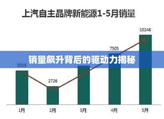 销量飙升背后的驱动力揭秘
