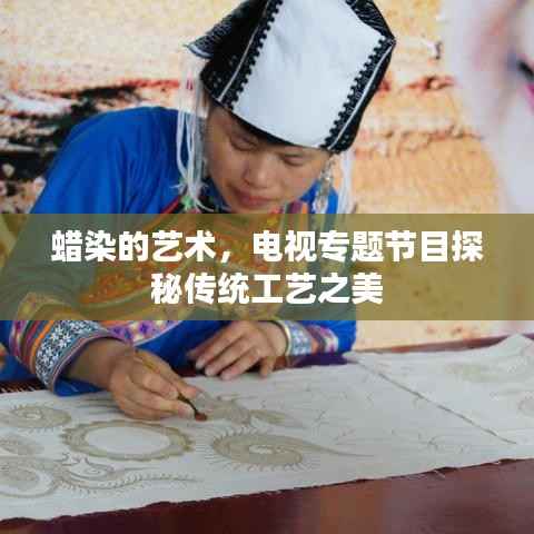 蜡染的艺术,电视专题节目探秘传统工艺之美