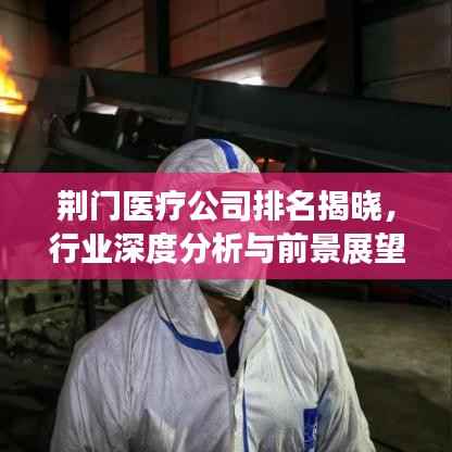 荆门医疗公司排名揭晓,行业深度分析与前景展望