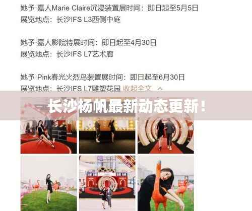 长沙杨帆最新动态更新!