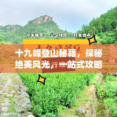十九峰登山秘籍，探秘绝美风光，一站式攻略助你畅游！