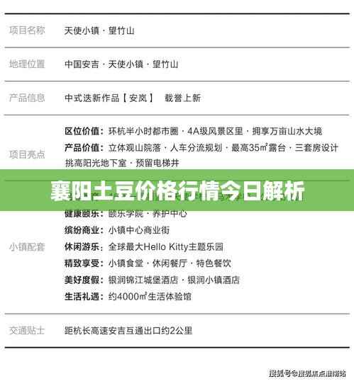 襄阳土豆价格行情今日解析