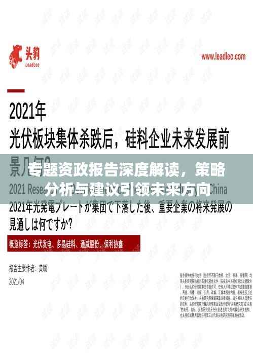 专题资政报告深度解读,策略分析与建议引领未来方向