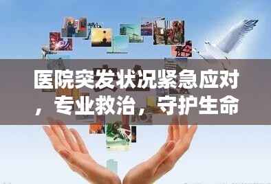 医院突发状况紧急应对,专业救治,守护生命安全