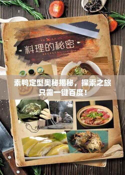 素鸭定型奥秘揭秘,探索之旅只需一键百度!