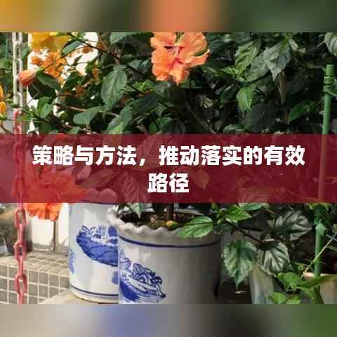 策略与方法,推动落实的有效路径