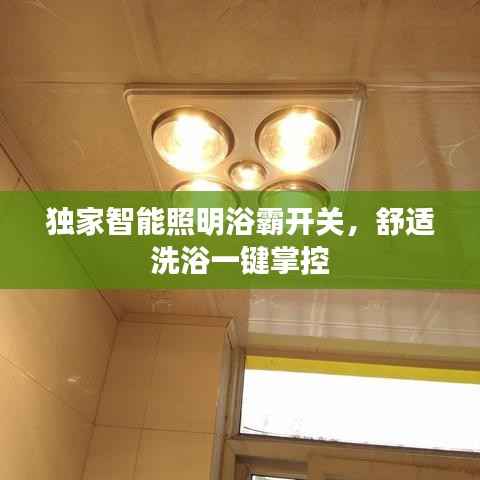 独家智能照明浴霸开关,舒适洗浴一键掌控