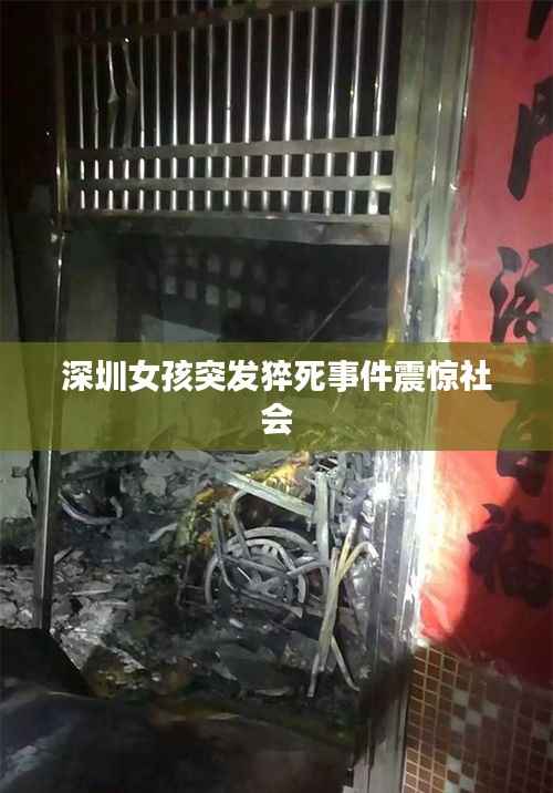 深圳女孩突发猝死事件震惊社会