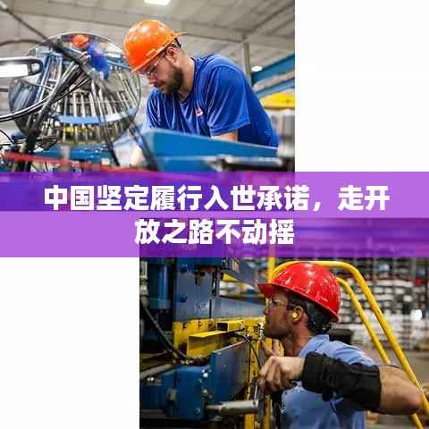 中国坚定履行入世承诺，走开放之路不动摇