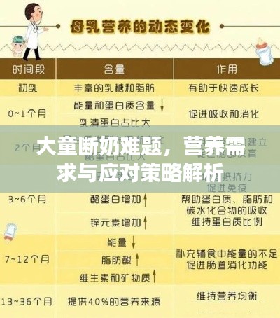 大童断奶难题,营养需求与应对策略解析