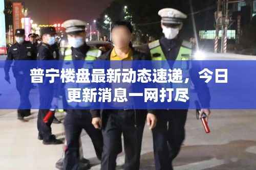 普宁楼盘最新动态速递，今日更新消息一网打尽