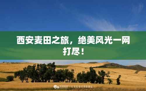西安麦田之旅，绝美风光一网打尽！