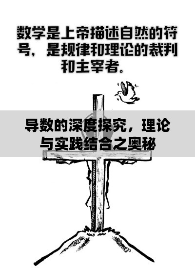 导数的深度探究，理论与实践结合之奥秘