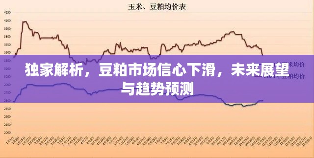独家解析，豆粕市场信心下滑，未来展望与趋势预测