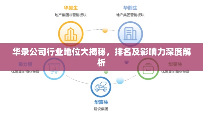 华录公司行业地位大揭秘，排名及影响力深度解析