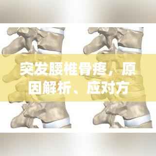 突发腰椎骨疼，原因解析、应对方法与预防措施