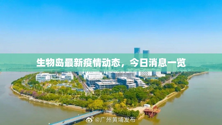 生物岛最新疫情动态，今日消息一览