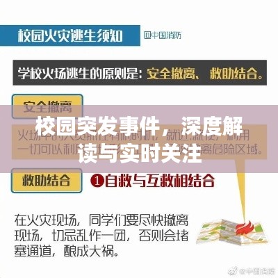 校园突发事件,深度解读与实时关注
