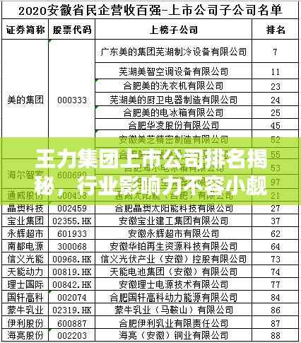 王力集团上市公司排名揭秘，行业影响力不容小觑