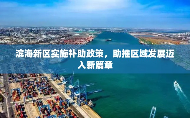 滨海新区实施补助政策，助推区域发展迈入新篇章