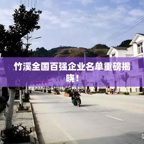 竹溪全国百强企业名单重磅揭晓！