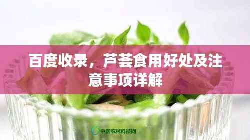 百度收录，芦荟食用好处及注意事项详解