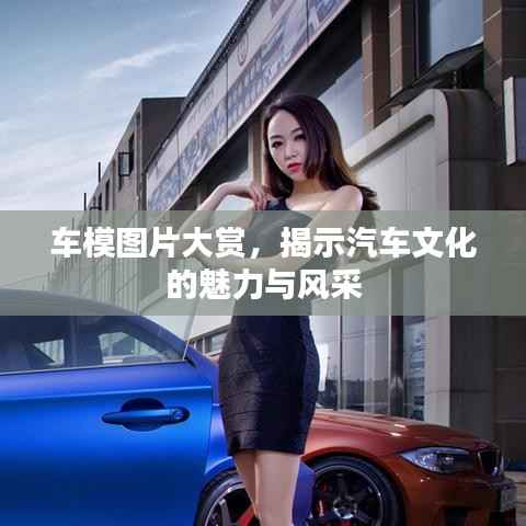 车模图片大赏，揭示汽车文化的魅力与风采