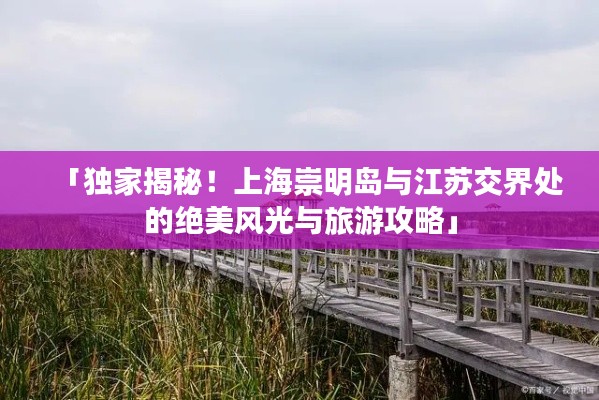 「独家揭秘！上海崇明岛与江苏交界处的绝美风光与旅游攻略」