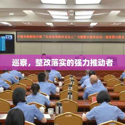 巡察，整改落实的强力推动者