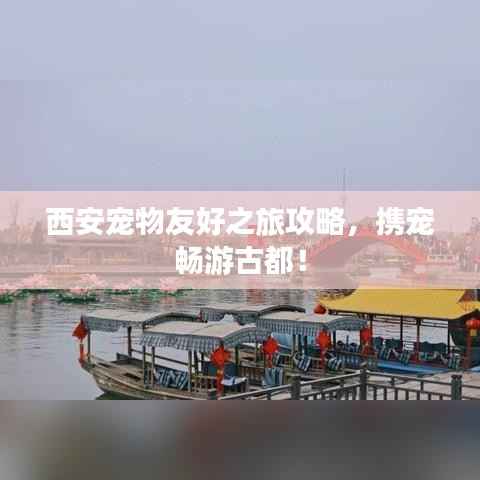 西安宠物友好之旅攻略，携宠畅游古都！