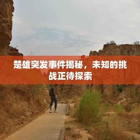 楚雄突发事件揭秘，未知的挑战正待探索