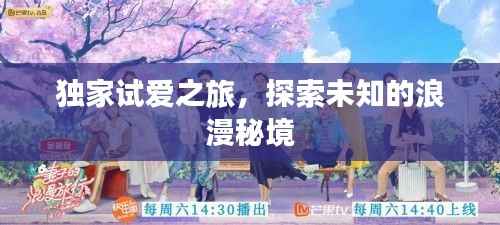 独家试爱之旅,探索未知的浪漫秘境