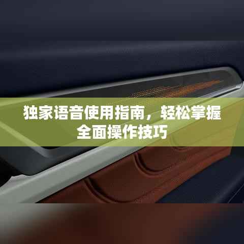独家语音使用指南,轻松掌握全面操作技巧