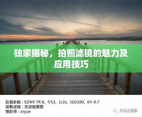 独家揭秘,拍照滤镜的魅力及应用技巧
