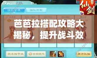 芭芭拉搭配攻略大揭秘,提升战斗效能的秘籍!